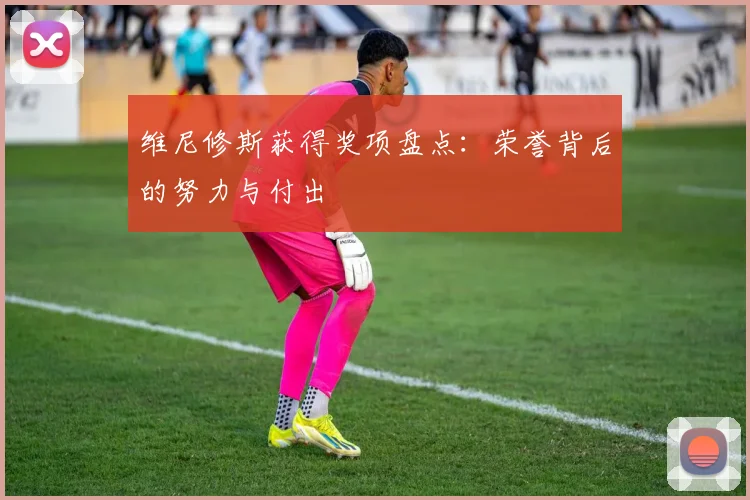 维尼修斯获得奖项盘点：荣誉背后的努力与付出