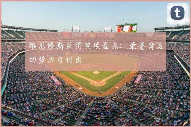 维尼修斯获得奖项盘点：荣誉背后的努力与付出
